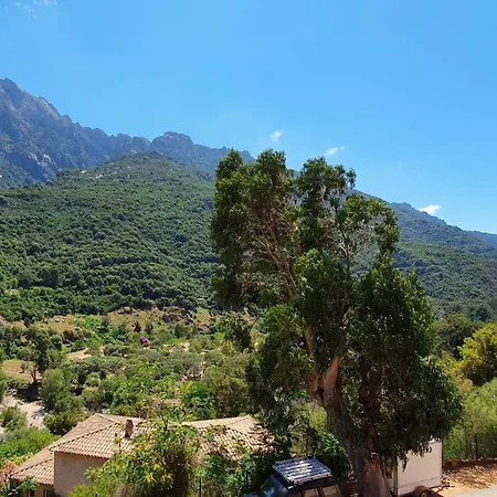 Bella Vista 3*