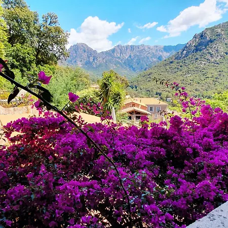 Bella Vista فندق