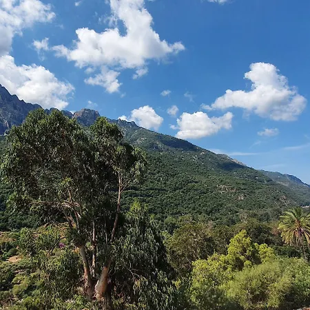 Bella Vista