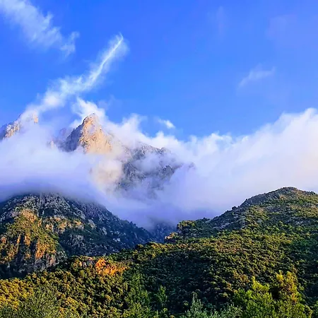 Bella Vista Porto (Corsica)