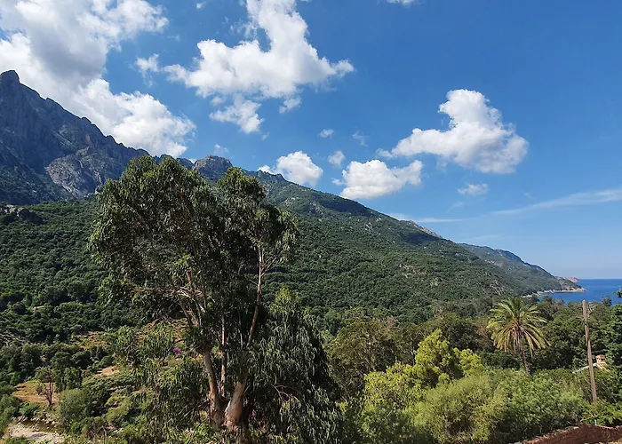 Bella Vista