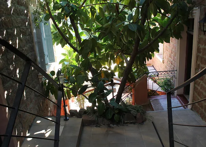 Bella Vista 3* Porto (Corsica)